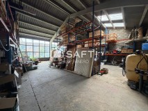 Foto7