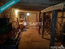 Foto12