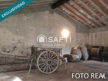 Foto15