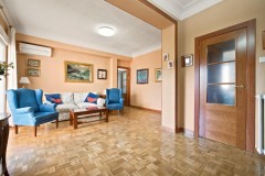 Foto5