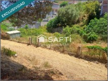 Foto5