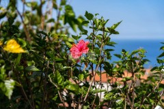 Foto48