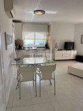 Foto8