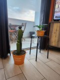 Foto22