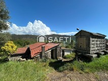 Foto14