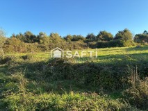 Foto10