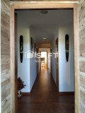 Foto5