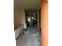 Foto20