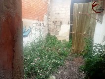 Foto46