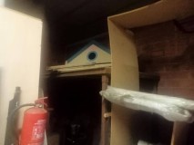 Foto5