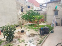 Foto12