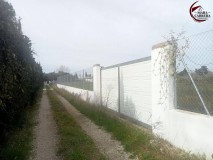 Foto2