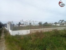 Foto4
