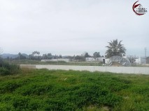 Foto6