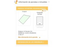 Foto8