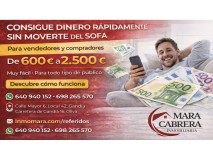 Foto19