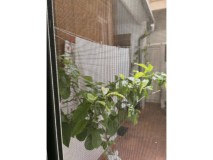 Foto44