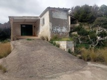 Foto6