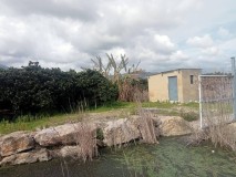 Foto1
