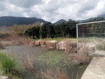 Foto4