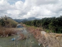 Foto5