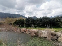 Foto6