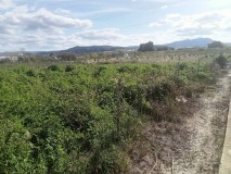 Foto4