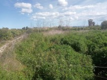 Foto3
