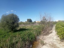 Foto5