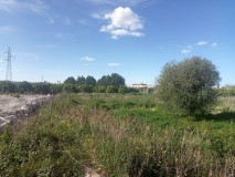 Foto1