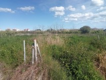 Foto6