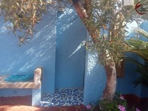 Foto8