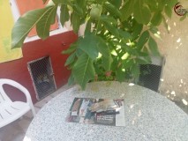 Foto19