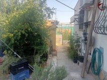 Foto5