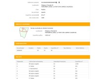 Foto7