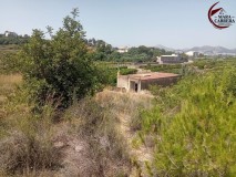 Foto1