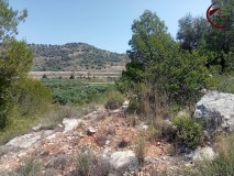 Foto16