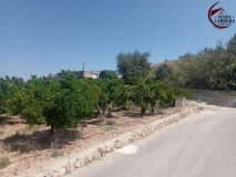 Foto20