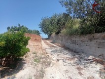Foto10