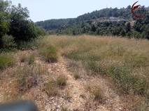 Foto21