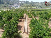 Foto15