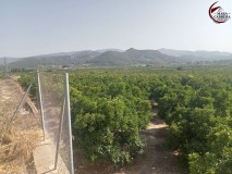 Foto16
