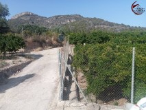 Foto12
