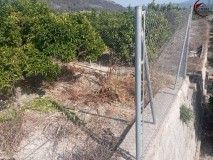 Foto15