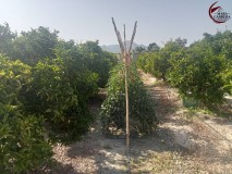Foto18