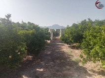 Foto14