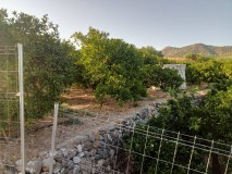 Foto8