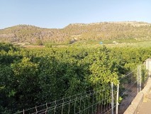 Foto2