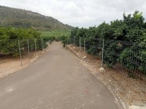 Foto6