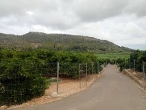 Foto7